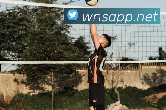 澳门威尼斯人网站APP 体育赛事宣传图